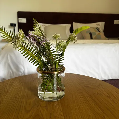 B&B Qg Quinta De Grovelas