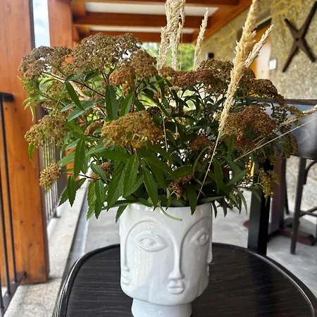 B&B Qg Quinta De Grovelas