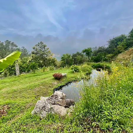 Qg Quinta De Grovelas Oda ve Kahvaltı