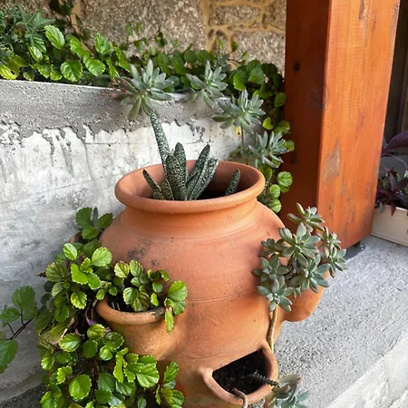 Qg Quinta De Grovelas Oda ve Kahvaltı 4*