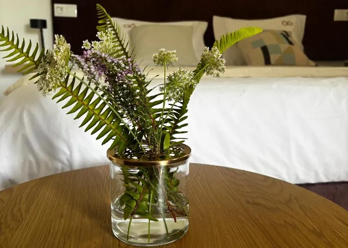 Bed and breakfast Qg Quinta De Grovelas