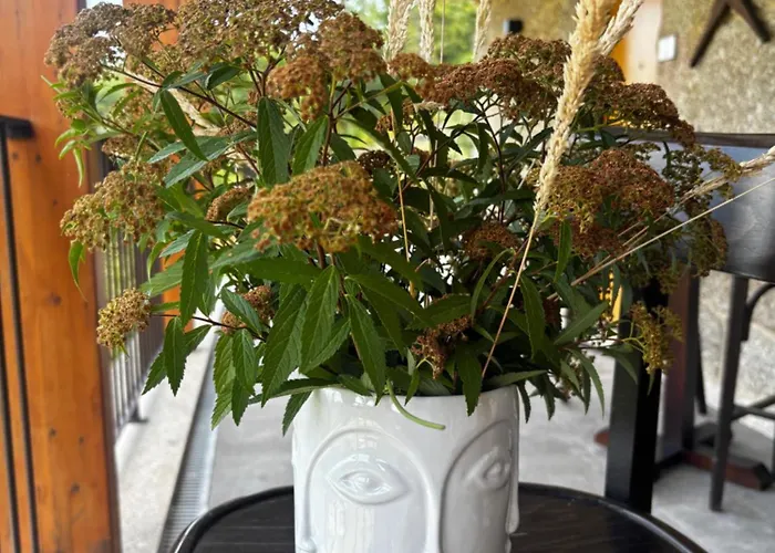 Bed & Breakfast Qg Quinta De Grovelas