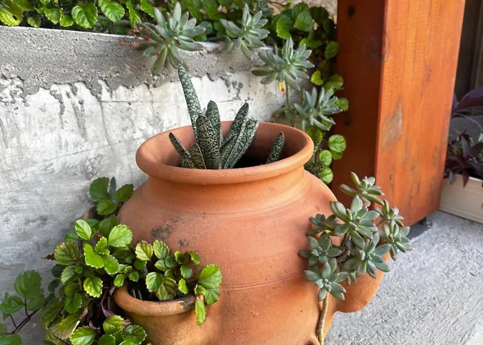 Qg Quinta De Grovelas Bed and breakfast 4*