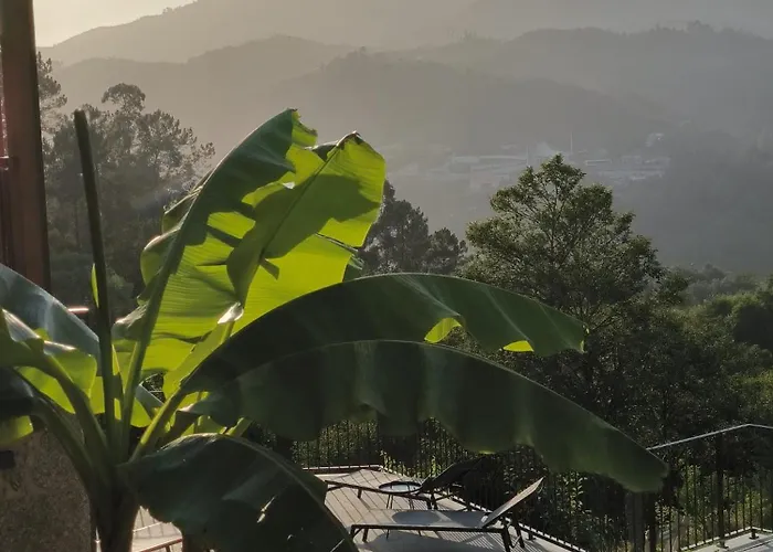 Bed & Breakfast Qg Quinta De Grovelas Balanca